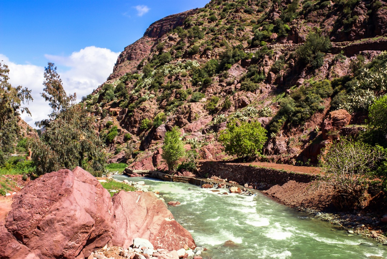 Services et Expériences